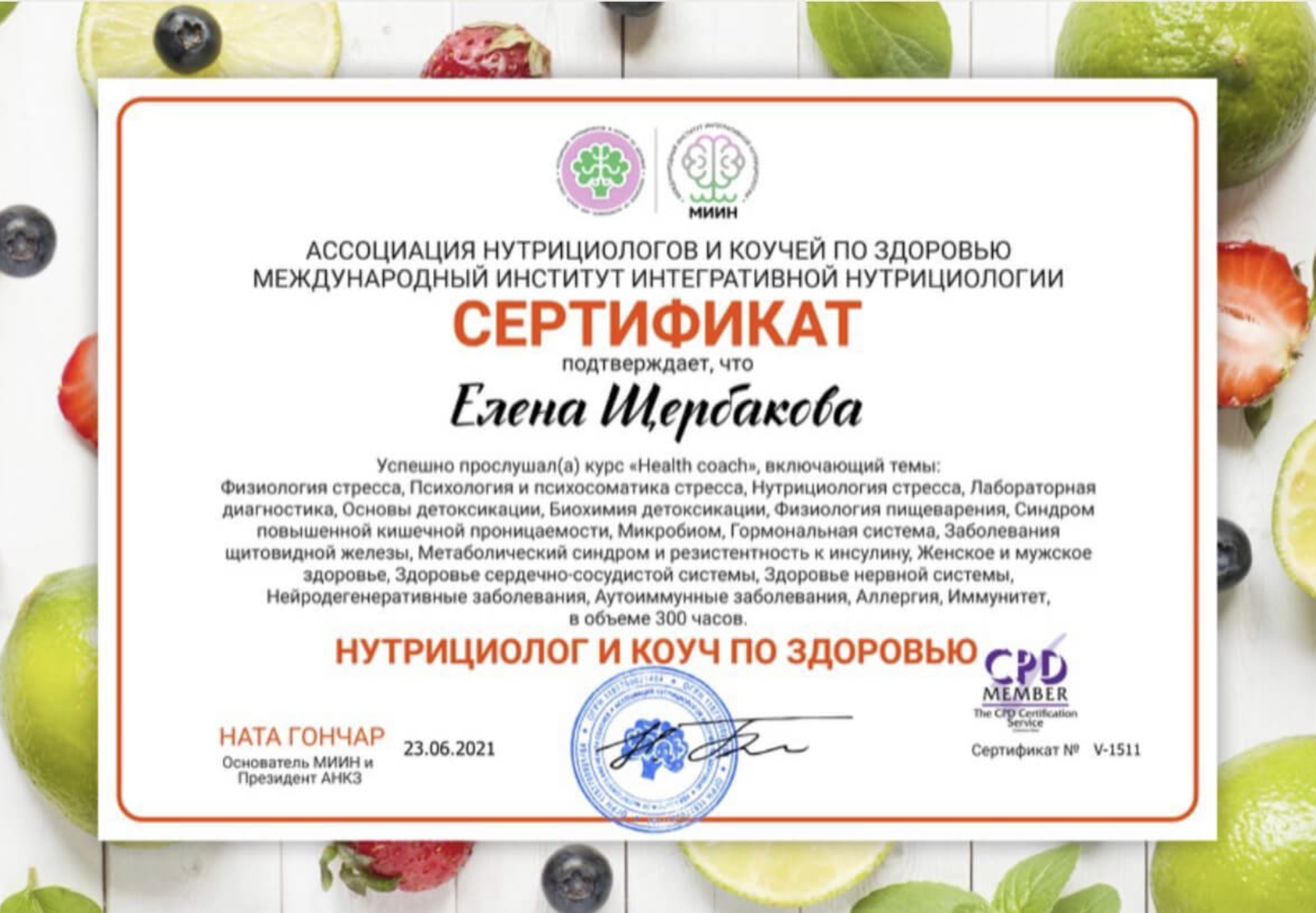 Галерея изображение 4