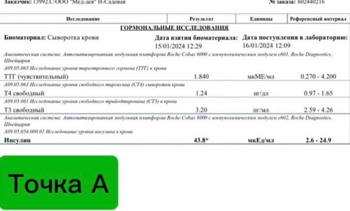 История успеха 12